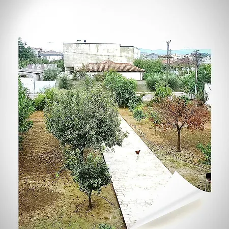 Elena For Rent * Durrës