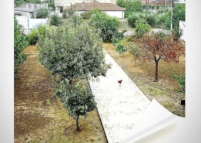 Elena For Rent 公寓 Durrës