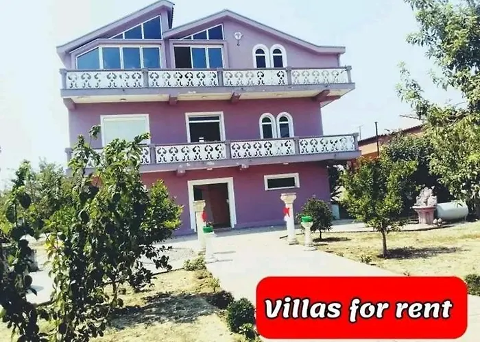 Elena For Rent